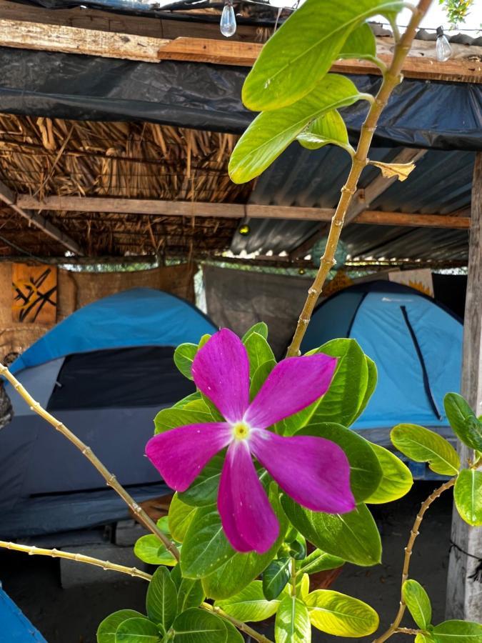 Casa De Los Santos Camping Y Eco Cabanas Isla Holbox Exterior photo